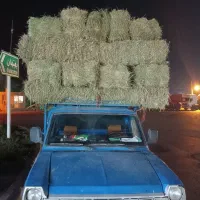 نیسان وانت دیزلی