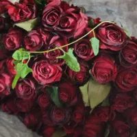 فروش عمده گل رز بار امروز