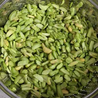 فروش باقلی سبز پاک شده