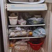 یخچال و فریزر|یخچال و فریزر|نورآباد ممسنی, |دیوار