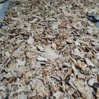 نان خشک نانوایی