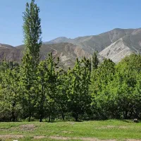 زمین در روستای امامه بالا|فروش زمین و ملک کلنگی|فشم, |دیوار