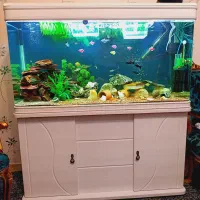 آکواریوم دلسا k1200