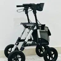 چهار چرخ حرفه‌ی