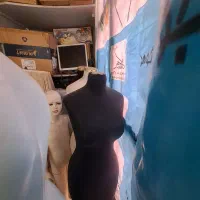 مانکن|فروشگاه و مغازه|تهران, نیلوفر|دیوار