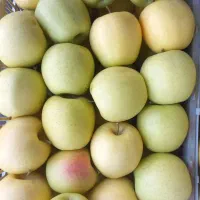 سرمایه‌گذاری با ۲۵درصد سود ظرف ۳ ماه|خدمات مالی، حسابداری، بیمه|مشهد, کوثر|دیوار