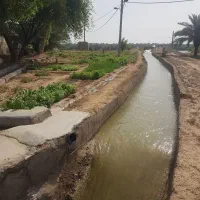 زمین کشاورزی|فروش زمین و ملک کلنگی|اهواز, گلستان|دیوار