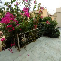 دوخوابه بسیار تمیز و دربست در مرکز شهرکاشان|اجارهٔ کوتاه‌مدت آپارتمان و سوئیت|کاشان, امام خمینی|دیوار