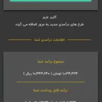 کسب درآمد آنلاین|فعالیت داوطلبانه|اردبیل, |دیوار
