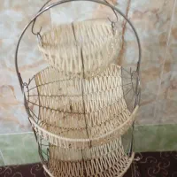 جاسیب زمینی پیاز