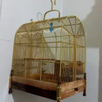 قفس سیره برنجی کار دست دهندار|لوازم جانبی حیوانات|بروجرد, |دیوار