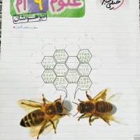 کتاب کمک درسی خیلی سبز و گاج علوم نهم