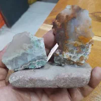 پنجاه قطعه شجر خراسان|جواهرات|کرمانشاه, |دیوار