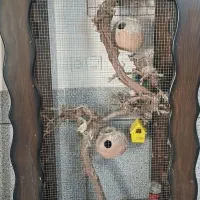 قفس بزرگ پرنده کاشمر