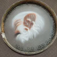 دف زیبا و خوش صدا پوستی