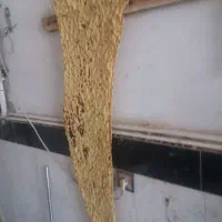 کارگرسنگکپزی