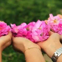 تور یک روزه گلابگیری کاشان و آبشار نیاسر باغ فین
