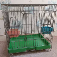 قفس مرغ مینا و طوطی