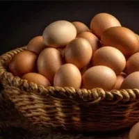 تخم‌مرغ محلی