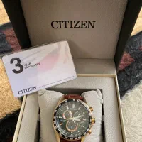 ساعت سیتیزن اکودرایو مدل wr200 گلد