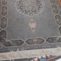 ۵ تا فرش|فرش|رشت, توشیبا|دیوار