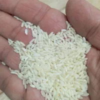 برنج عنبربوشوشتردرجه۱|خوردنی و آشامیدنی|اهواز, پادادشهر|دیوار
