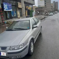 سمند نقرهای