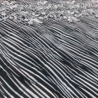 زیر قیمت بمب