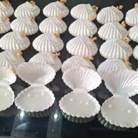 گیفت آنیسا