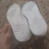 کفش کتانی