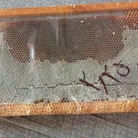 عسل + موم ( طبیعی )|خوردنی و آشامیدنی|حمیدیا, |دیوار