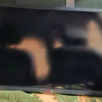 تلویزیون الجی ۳۲ اینچ