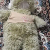 عروسک و لباس