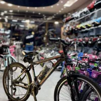 دوچرخه اصلی