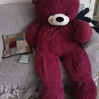 خرس بنفش|اسباب‌بازی بچه|پرند, فاز ۶|دیوار