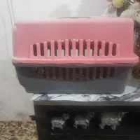 باکس حمل گربه و سگ