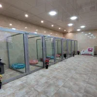 پانسیون سگ ، نگهداری سگ