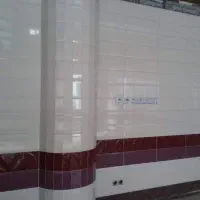 خواهان شاگرد کاشیکاری