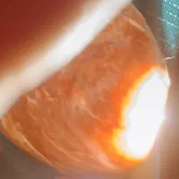 تعدادسنگهای قیمتی عقیق وجاس وشجر.ومشکوک ب شهاب|کلکسیون اشیاء عتیقه|شال, |دیوار