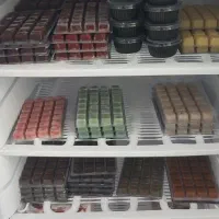 آکواریوم اروند خرمشهر|ماهی|خرمشهر, |دیوار