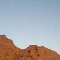 زمین مزروعی