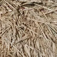 پرس کاه (کلش)