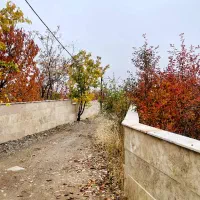 زمین شهرکی کردان فشند 665 متر چسب بافت|فروش زمین و ملک کلنگی|هشتگرد, فشند|دیوار