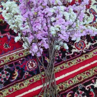 گل مصنوعی|گل مصنوعی|مشهد, فلسطین|دیوار