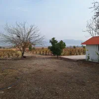 ۱۵ هکتار زمین و باغ کشاورزی در کوار فول امکانات|فروش زمین و ملک کلنگی|کوار, |دیوار