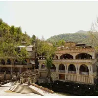 کمک آشپز اقا