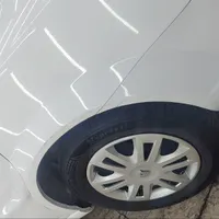 دنا معمولی تیپ ۲، مدل ۱۳۹۹