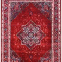 نیازمند کارگر با تجربه قالیشویی