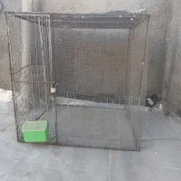 قفس۱×۱انتیک