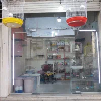 پرنده فروشی قصر پرندگان شعبه ۲